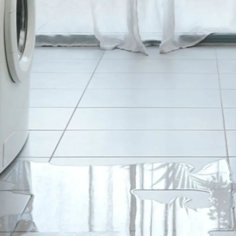 Appliance Leak Cleanup in Hardin County, OH