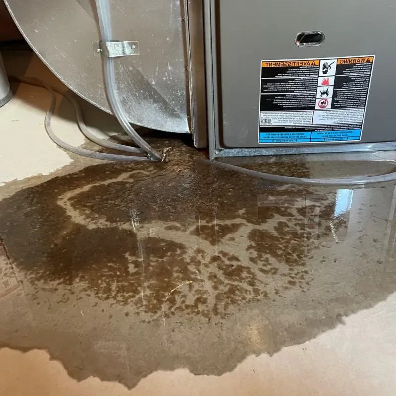 Pipe Burst and Leak Restoration in Hardin County, OH