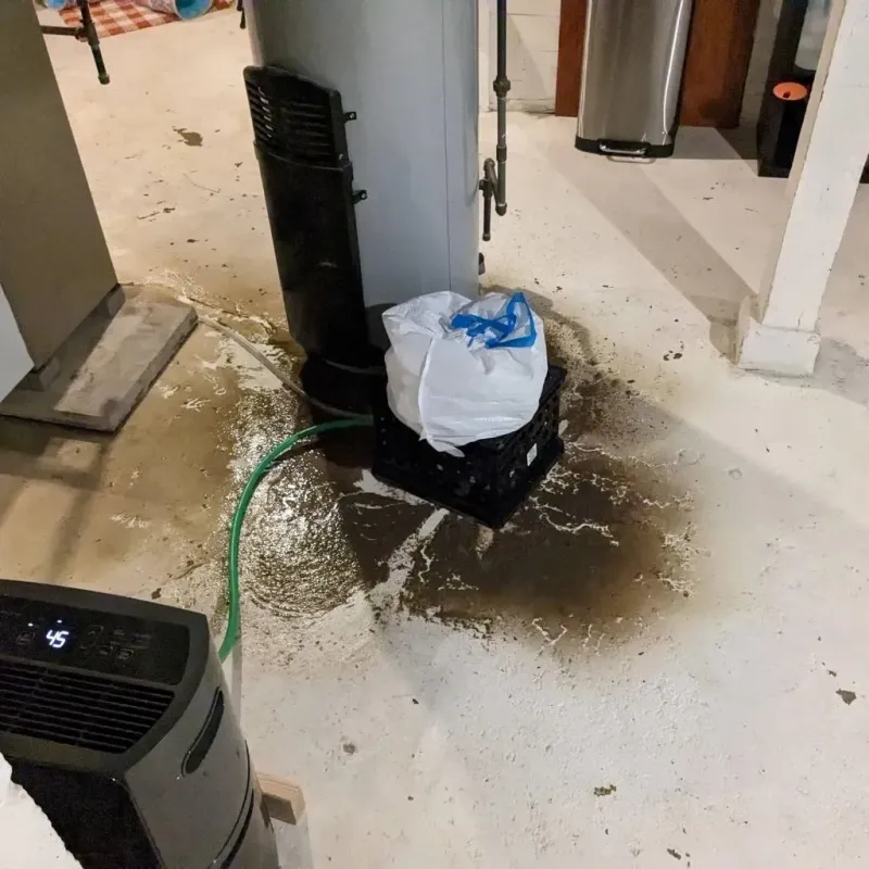 Sewage Backup Cleanup Service in Hardin County, OH